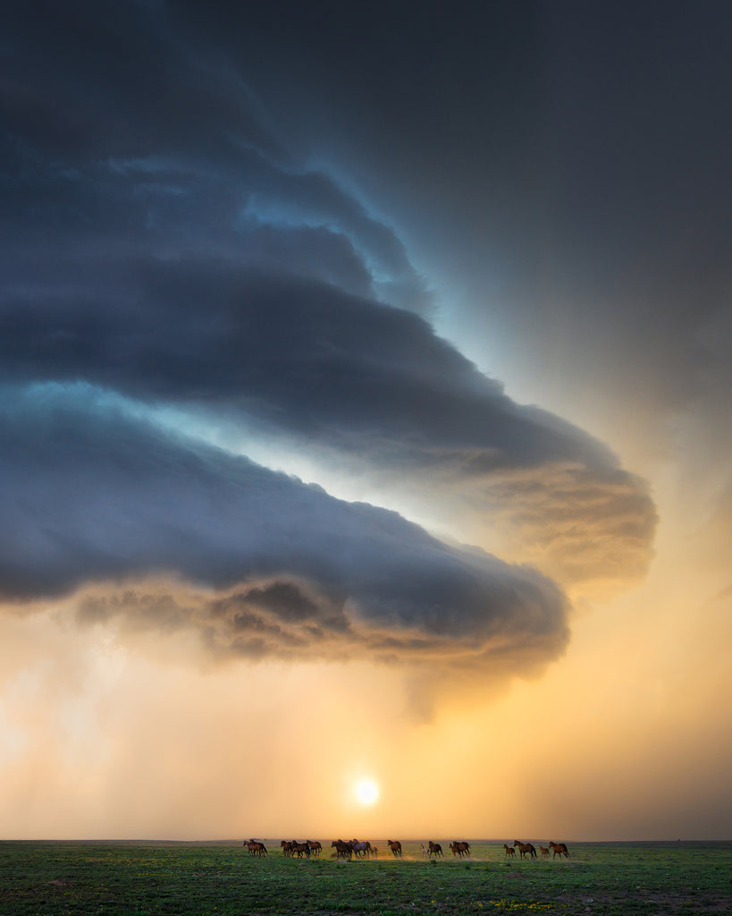 Workshop I: May 16-22, 2026