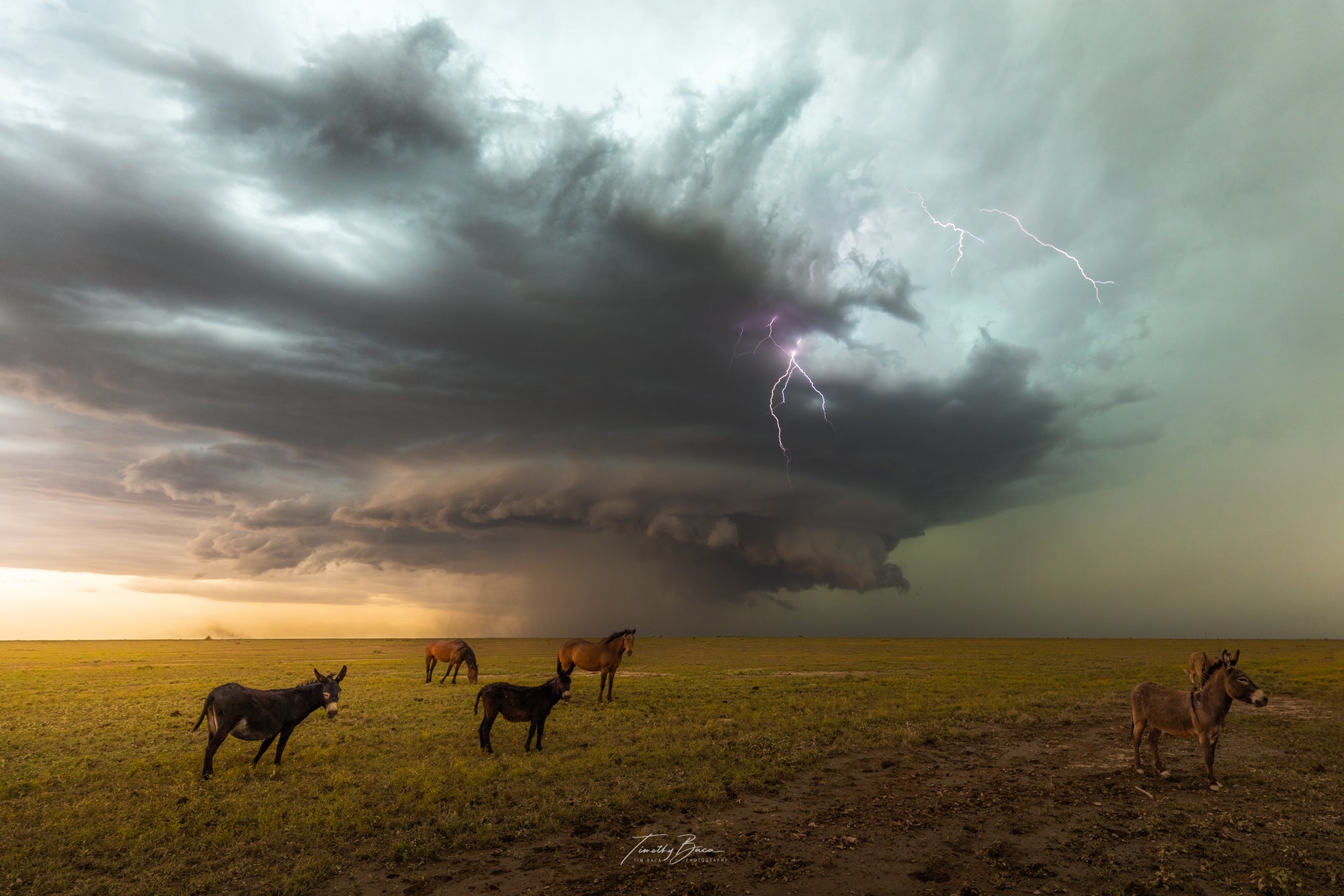2025 Extreme Photo